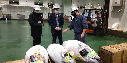 豊洲市場視察の写真 1