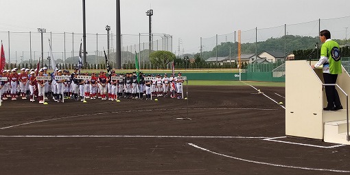 今治市小学生野球大会の写真 1