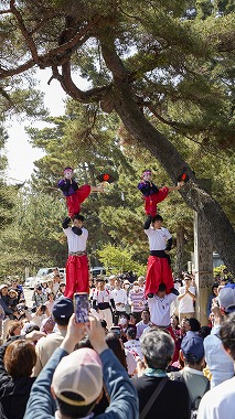 桜井祭り式典の写真 1