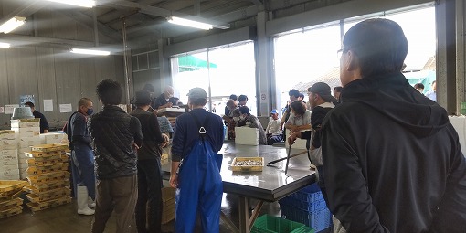 みらい発掘ＰＪ（桜井競り見学）の写真 1