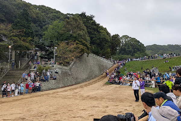 お供馬の走り込みの写真 1