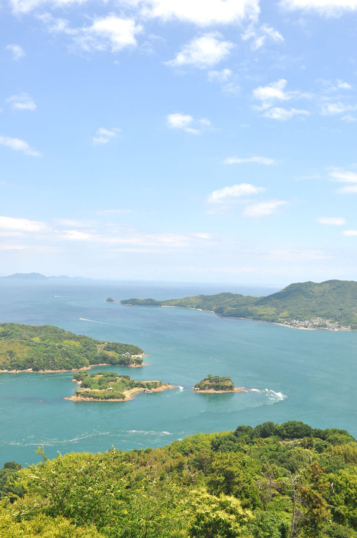 能島城跡遠景（カレイ山展望公園から撮影）