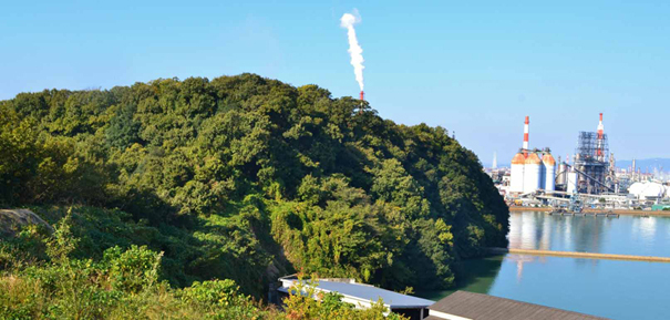 能島村上氏の家臣嶋氏が守った本太城の現在の姿