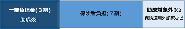 一部負担金（3割）助成、保険者負担（7割）。助成対象外は保険適用外診療など。
