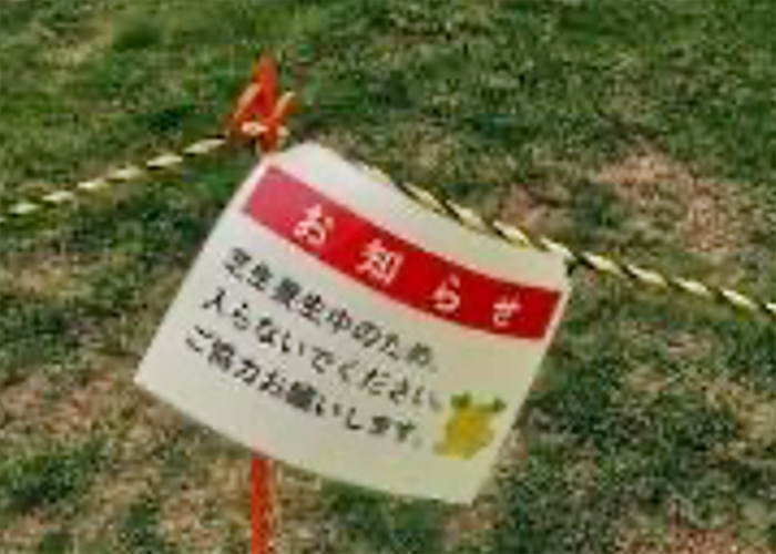 鹿ノ子グリーンパークの写真4