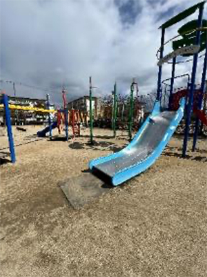 鯉池公園の写真4