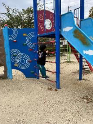 鯉池公園の写真3