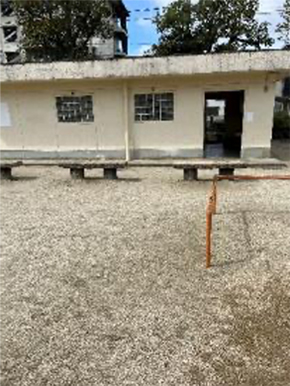 鯉池公園の写真6