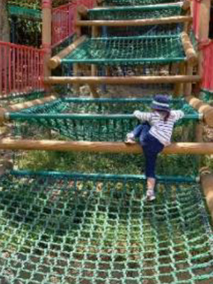 市制50年記念公園（市民の森・フラワーパーク）の写真3