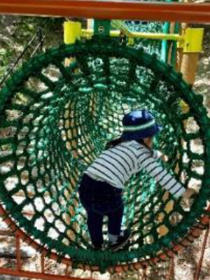 市制50年記念公園（市民の森・フラワーパーク）の写真4