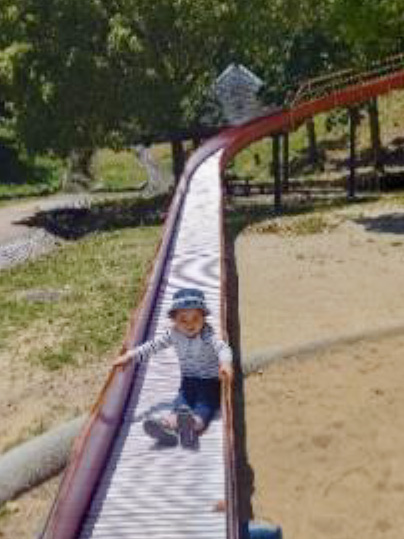 市制50年記念公園（市民の森・フラワーパーク）の写真3