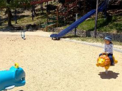 市制50年記念公園（市民の森・フラワーパーク）の写真8