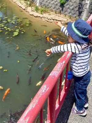 市制50年記念公園（市民の森・フラワーパーク）の写真9