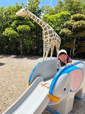 桜井総合公園の写真5