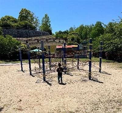 桜井総合公園の写真6