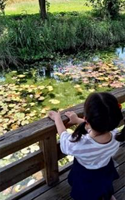 中寺弁天泉公園の写真5