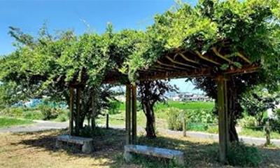 中寺弁天泉公園の写真7