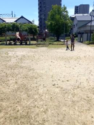 駅西公園の写真8