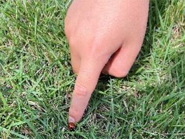 朝倉緑のふるさと公園の写真3