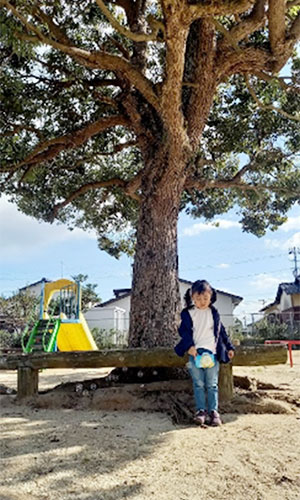 山路公開緑地の写真7