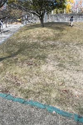 しまなみアースランドの写真1