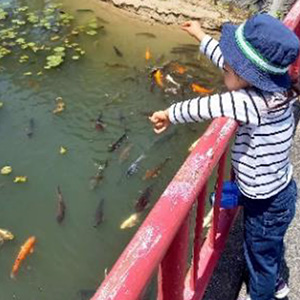 2024年6月の写真