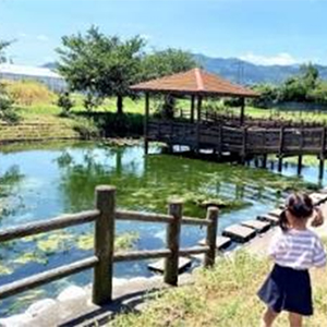 2024年8月の写真