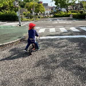 2024年9月の写真