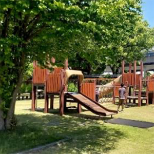 2024年10月の写真