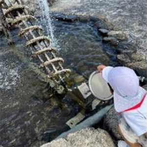 2024年11月の写真