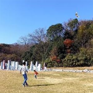 2025年2月の写真