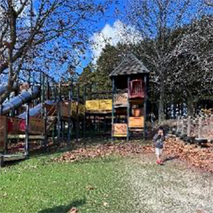 2025年3月の写真