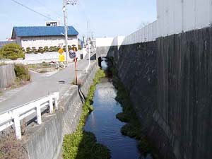 拝志川上流端の写真