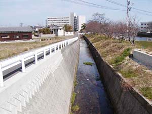 拝志川中間付近の写真