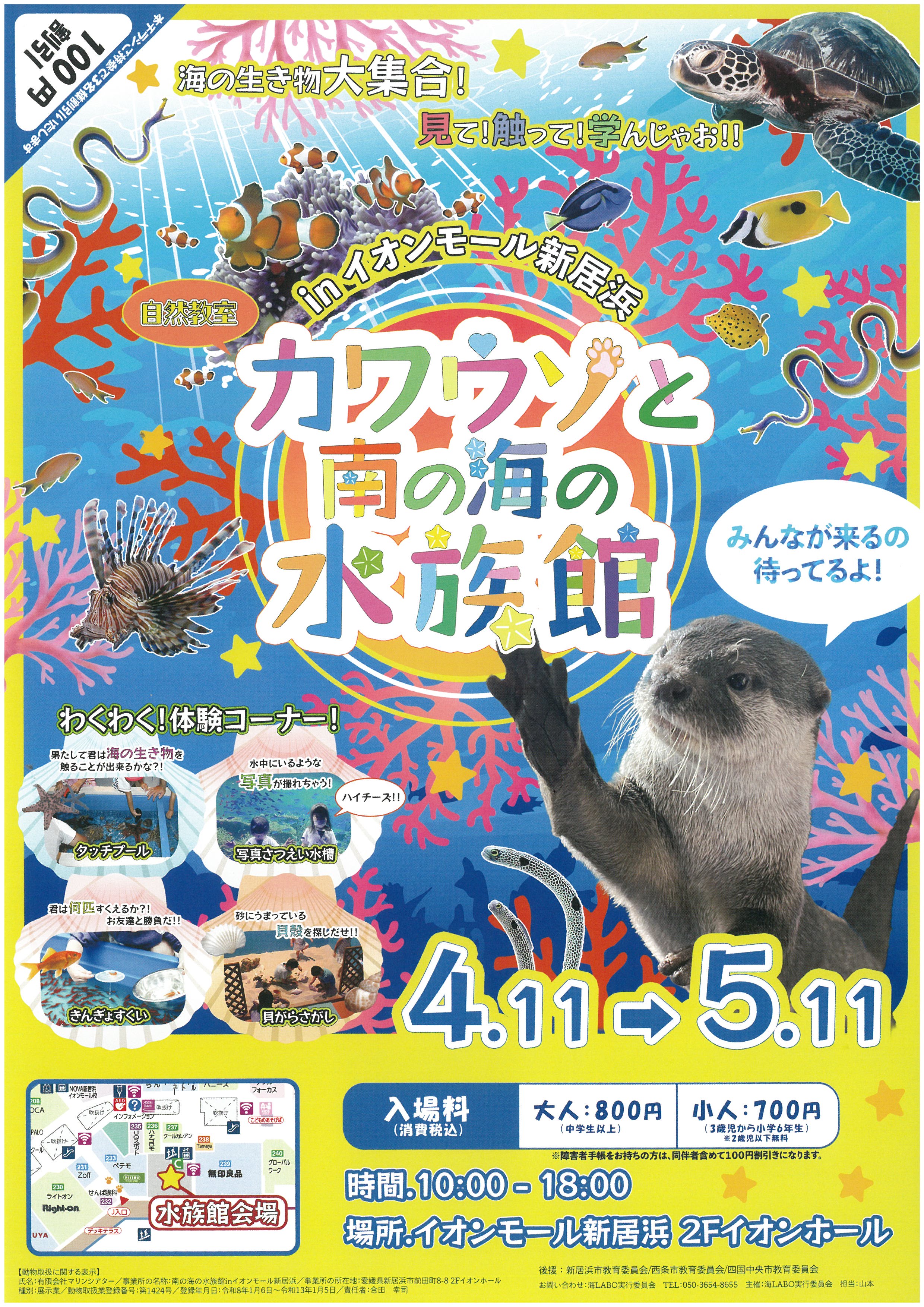 カワウソと南の海の水族館inイオンモール新居浜