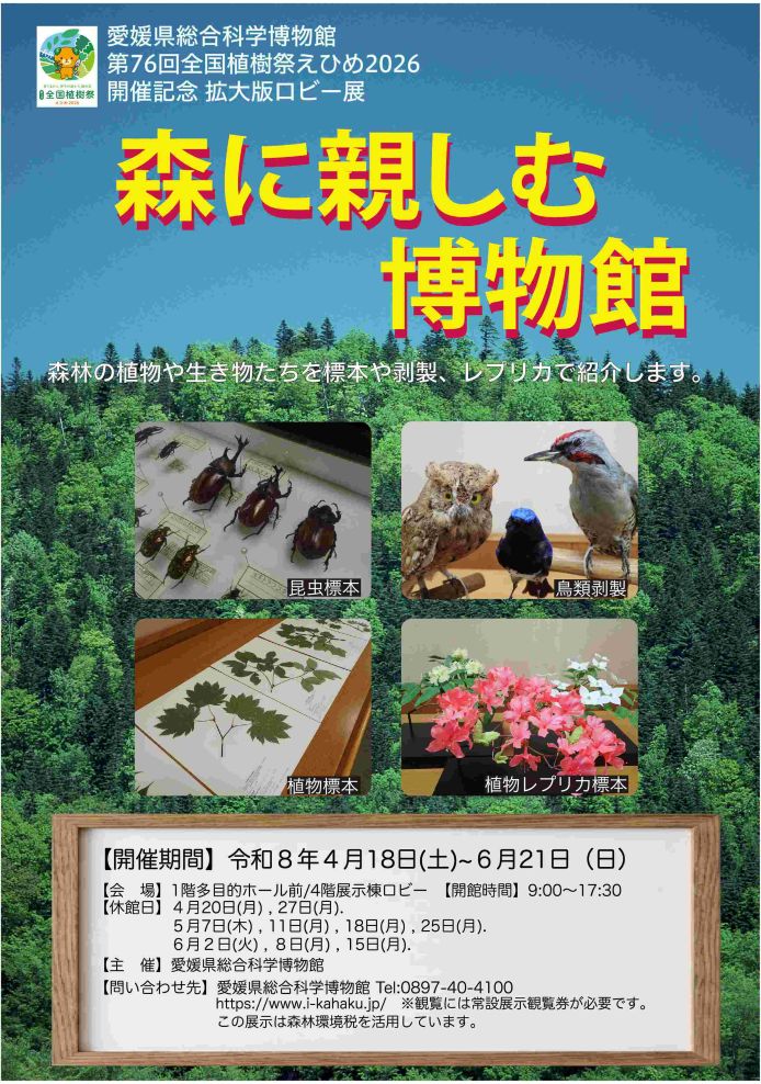 特別展「森に親しむ博物館」