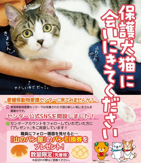 愛媛県動物愛護センター譲渡事業