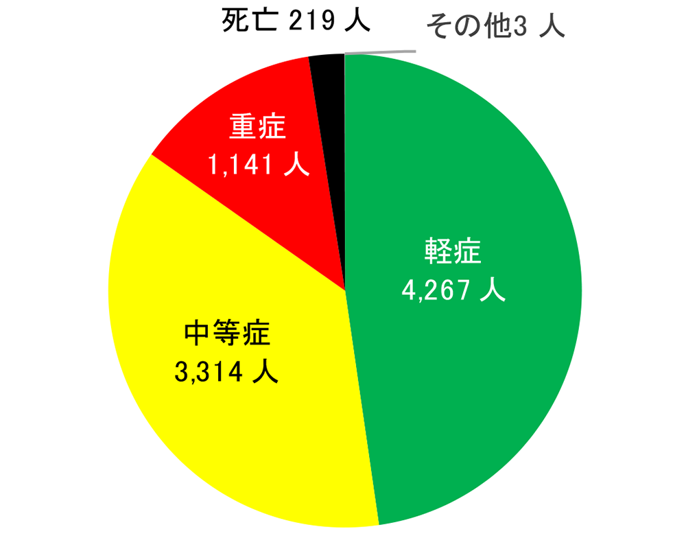 軽症4,267件、中等症3,314件、重症1,141件、死亡219件、その他3人