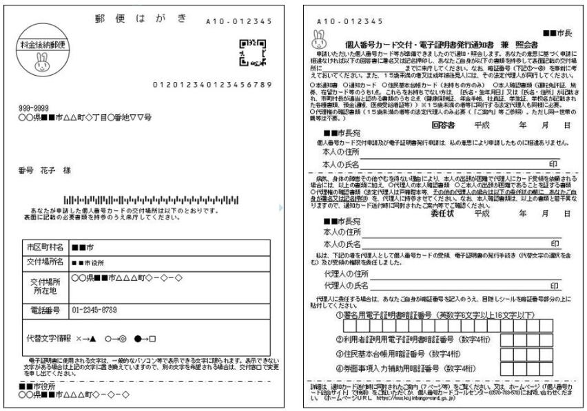 交付通知書（はがき）見本の画像