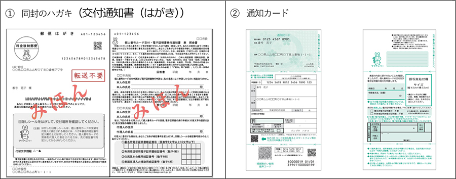 交付通知書と通知カードの見本