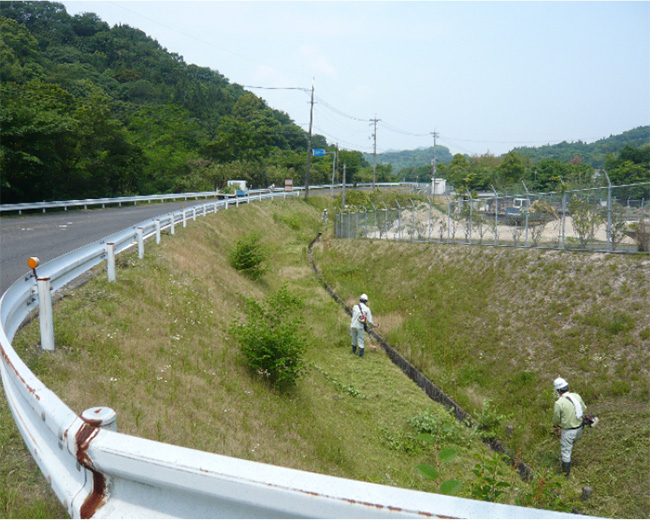 浄水場等草刈作業の写真