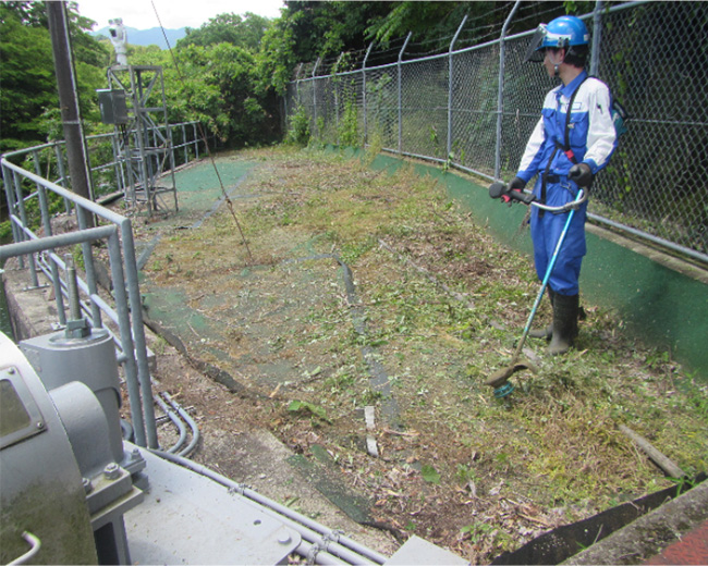 水源の森の竹伐採 作業の写真