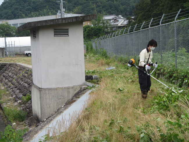 奉仕作業の写真6