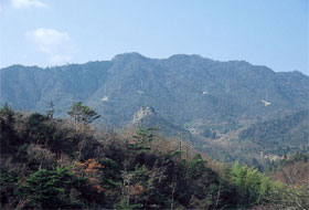 樹林地（山林）の写真