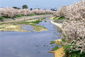 河川の写真