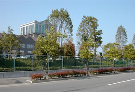 工場・事業所の緑の写真