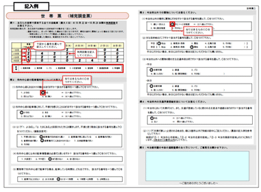 調査票の記入例